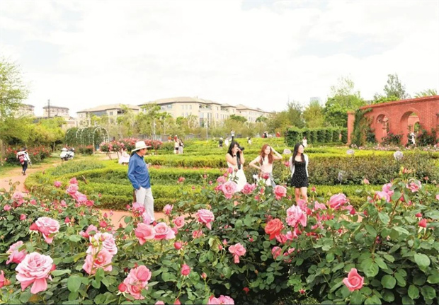 云南旅游,云南旅行社,云南團(tuán)建公司,云南策劃公司,云南會(huì)議公司,昆明旅游,昆明旅行社,昆明團(tuán)建公司,昆明策劃公司,昆明會(huì)議執(zhí)行：旅居昆明，在花海里通關(guān)四季！花歷正在更新，等你來簽收春天→